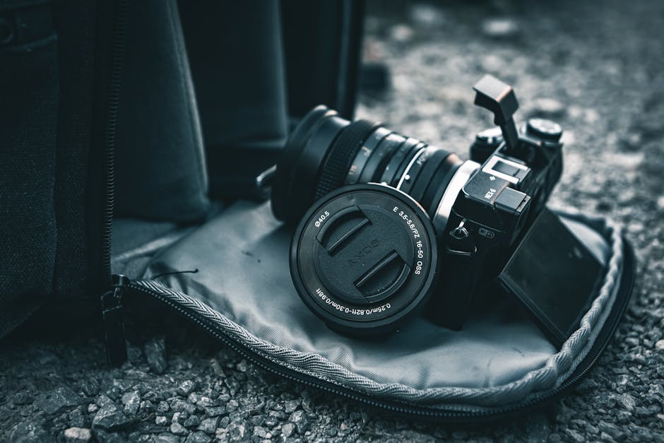 A clear vision with professional camera equipment